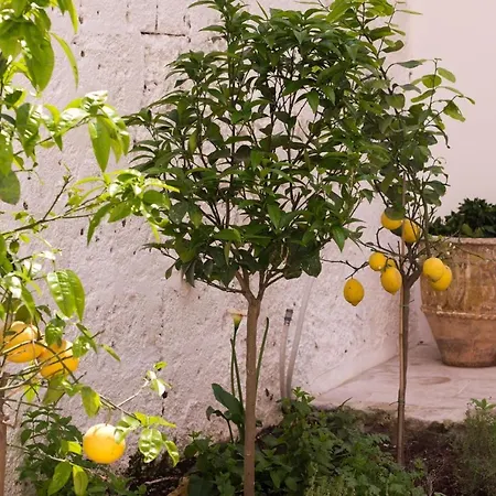 Palazzo Cairney Nardo